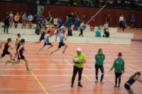 Halle SG