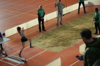 Halle SG