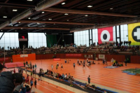 Halle SG