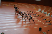 Halle SG