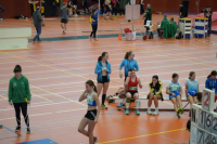 Halle SG