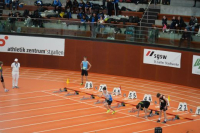 Halle SG