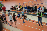 Halle SG