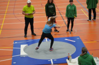 Halle SG