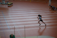 Halle SG