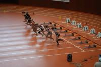 Halle SG