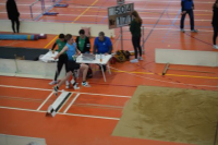 Halle SG