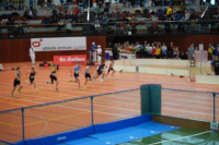 Halle SG