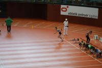 Halle SG