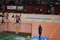 Halle SG