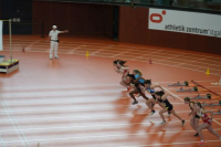 Halle SG