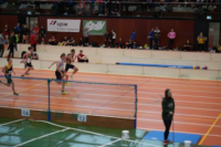 Halle SG