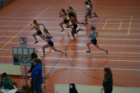 Halle SG