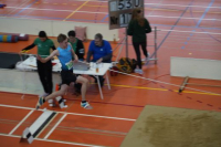 Halle SG