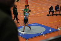 Halle SG