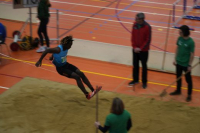 Halle SG