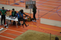 Halle SG