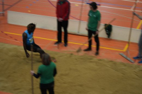 Halle SG