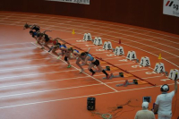 Halle SG