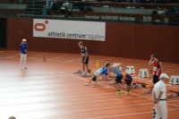 Halle SG