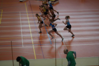 Halle SG