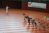 Halle SG