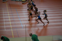 Halle SG