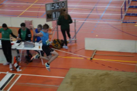 Halle SG