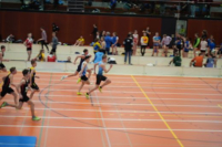 Halle SG
