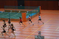 Halle SG
