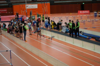 Halle SG