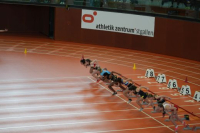 Halle SG