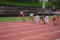 Visana