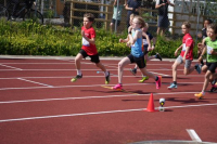 1000m