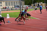 Regionen