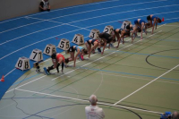 SM Halle Tag 1