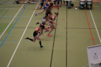 SM Halle Tag 1