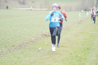 OA Cross
