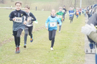 OA Cross