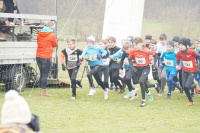 OA Cross