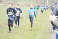 OA Cross