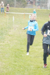 OA Cross