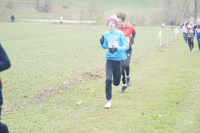 OA Cross