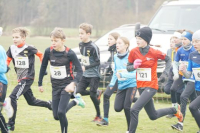 OA Cross