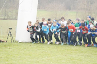 OA Cross