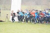 OA Cross
