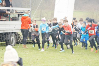 OA Cross
