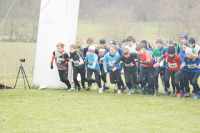 OA Cross