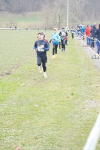 OA Cross