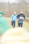OA Cross